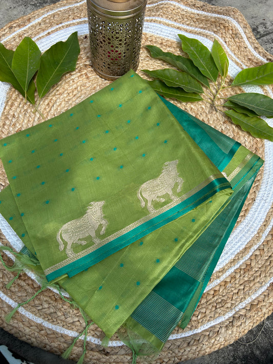 Green Silk cotton saree